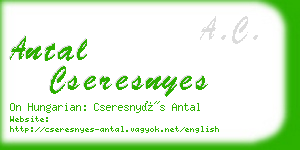 antal cseresnyes business card